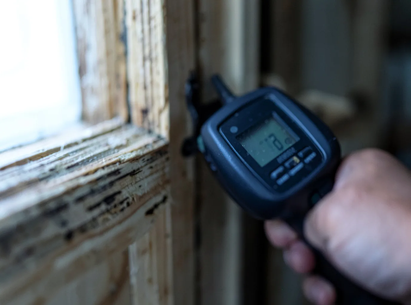 Moisture Inspection And Documentation in Oradell, NJ
